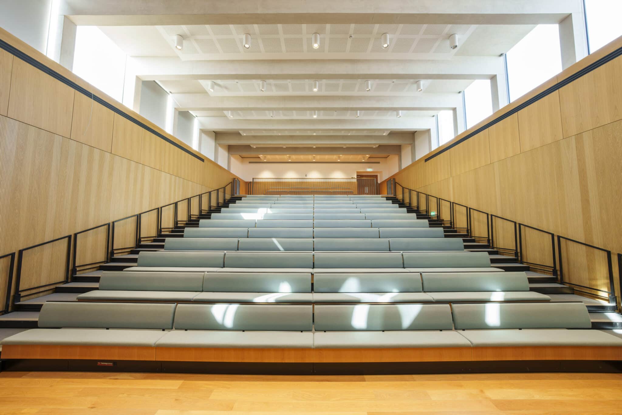 A modern, empty lecture hall with tiered seating, light wood paneling, and large windows letting in natural light from above.